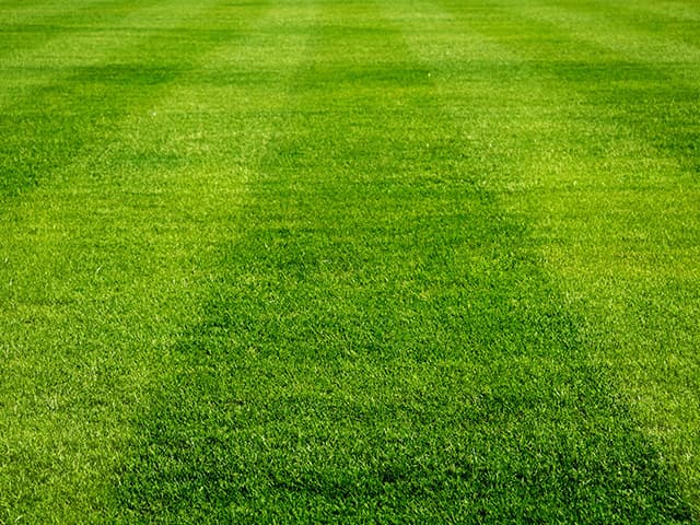 Expert lawn care in bartlett