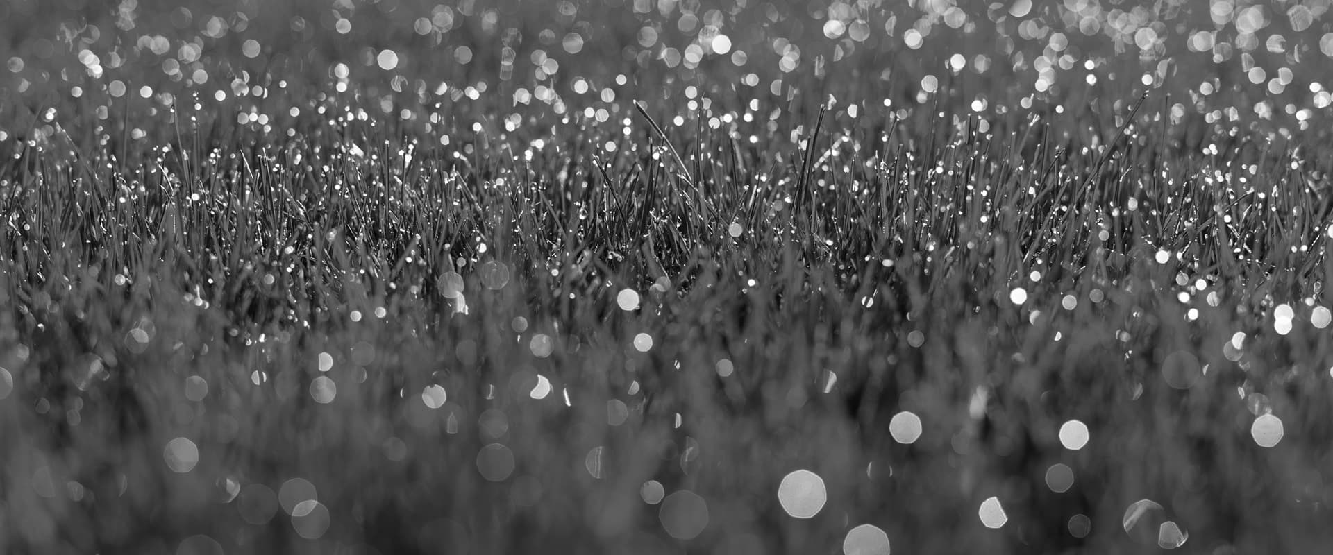 Gold Standard Lawncare Background