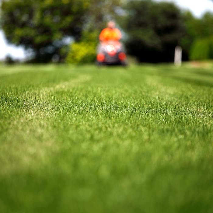 Lawn Mowing Background