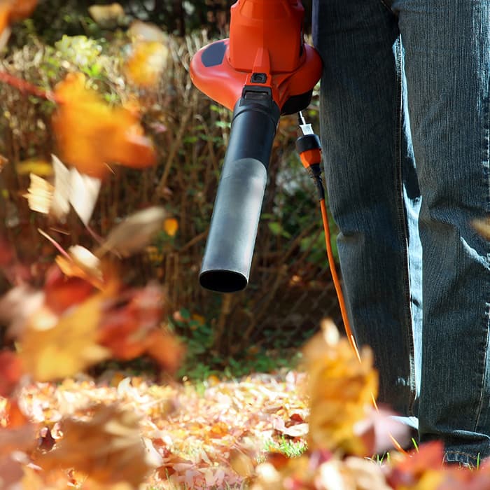 Yard Clean-Up Background