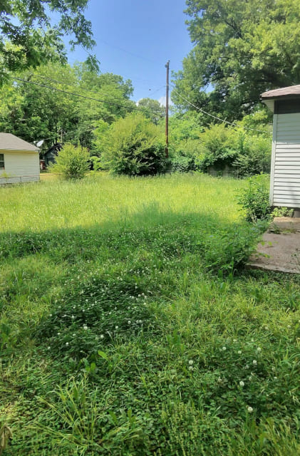 Yard Clean-Up Background
