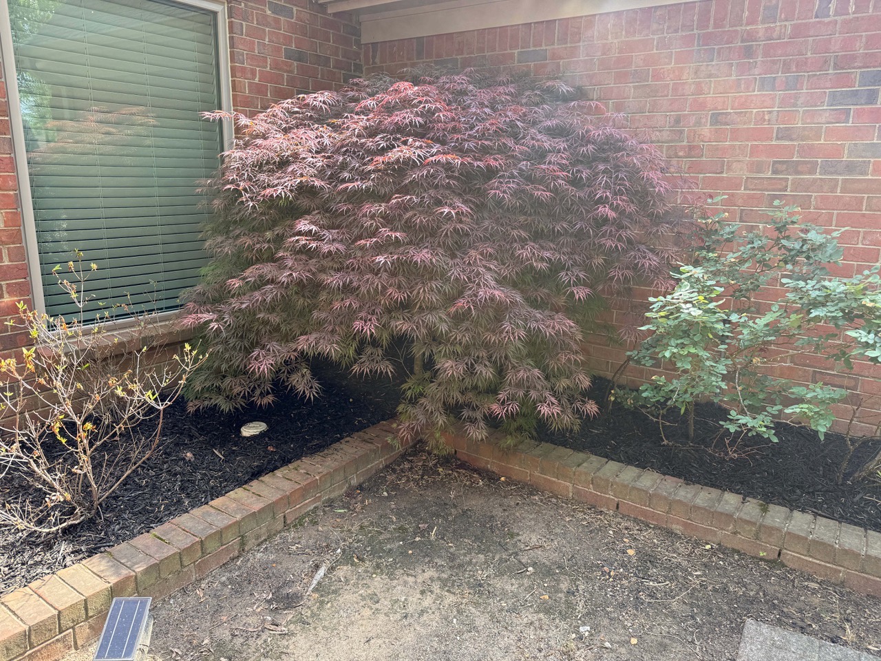 top quality sprinng cleanout, mulch installation and lawn care