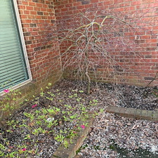 top-quality-sprinng-cleanout-mulch-installation-and-lawn-care 2