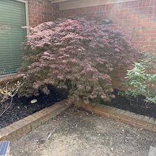 top-quality-sprinng-cleanout-mulch-installation-and-lawn-care 11