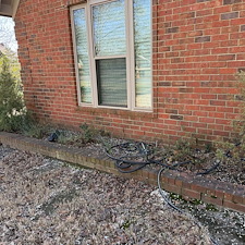 top-quality-sprinng-cleanout-mulch-installation-and-lawn-care 1