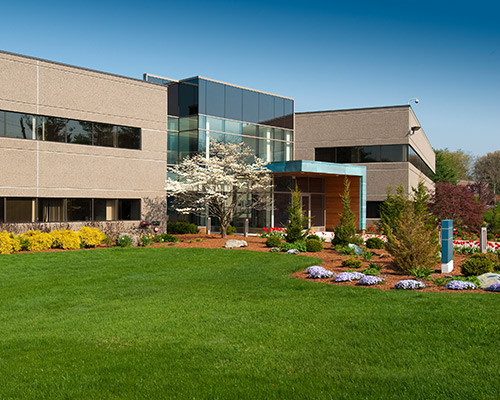 Commercial Lawn Services