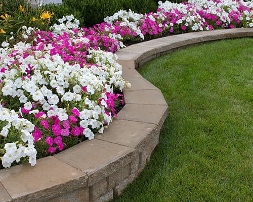 Flower Bed Maintenance